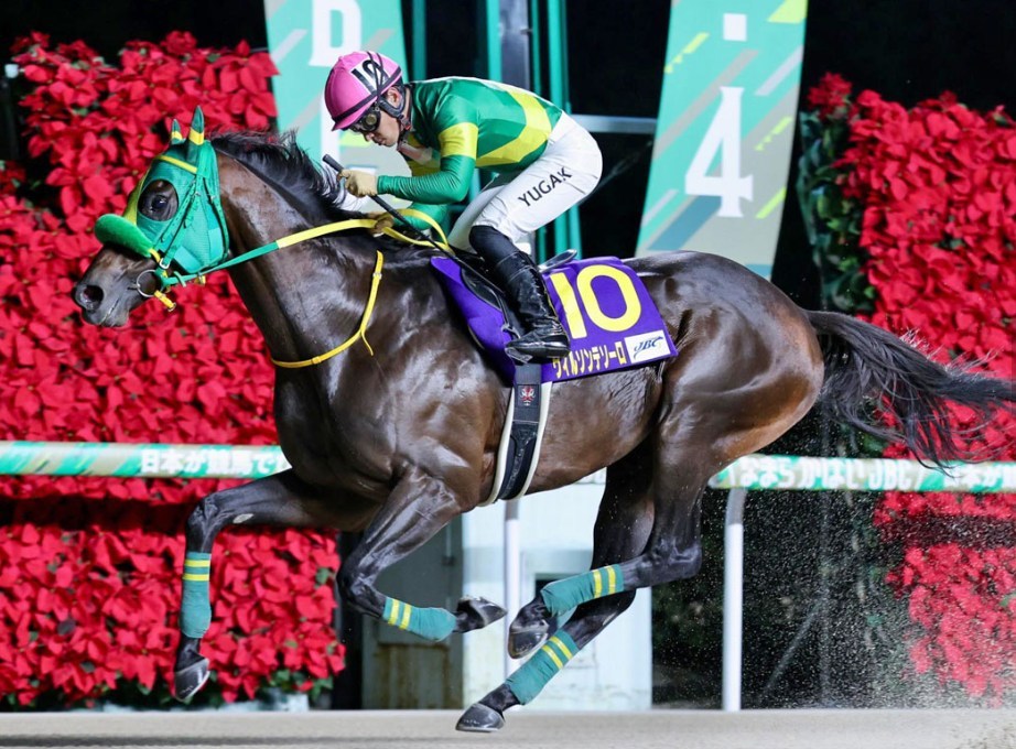 フェブラリーS2026予想！大穴狙いで逝くぜぇー！