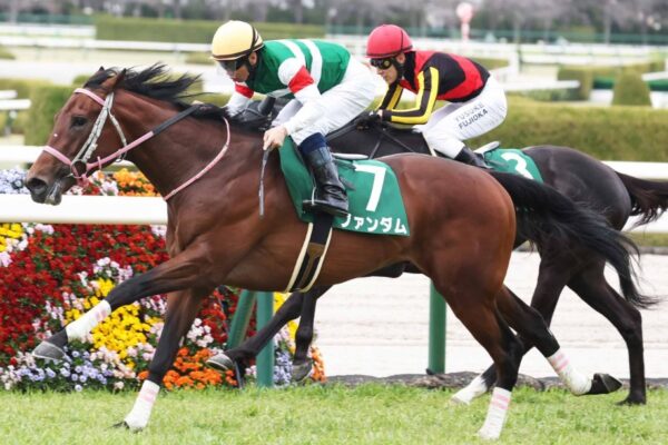 オーシャンS2026データ分析！大穴はこの馬じゃー！