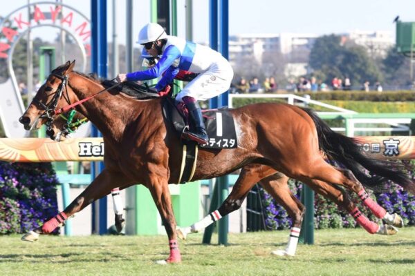 フラワーカップ2026予想！大穴狙いで逝くぜぇ！