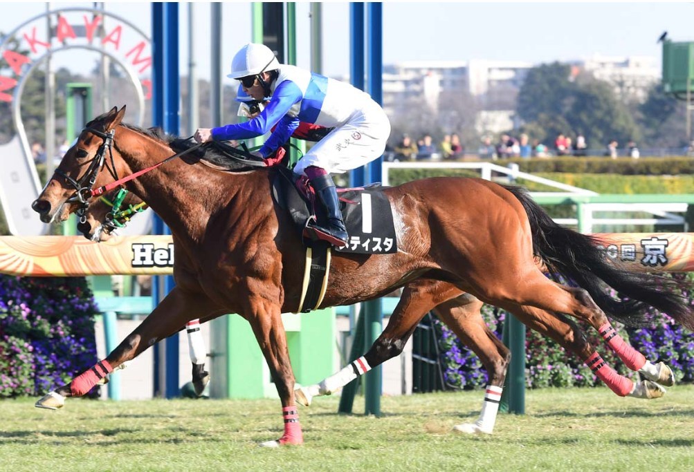 フラワーカップ2026予想！大穴狙いで逝くぜぇ！