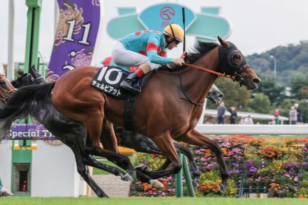 愛知杯2026データ分析！大穴はこの馬じゃー！