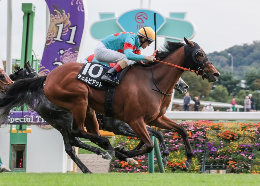 愛知杯2026データ分析！大穴はこの馬じゃー！