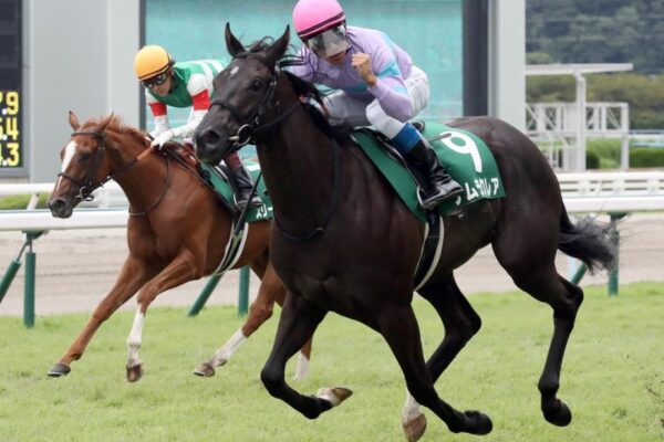 高松宮記念2026予想！大穴狙いで逝くぜぇ！