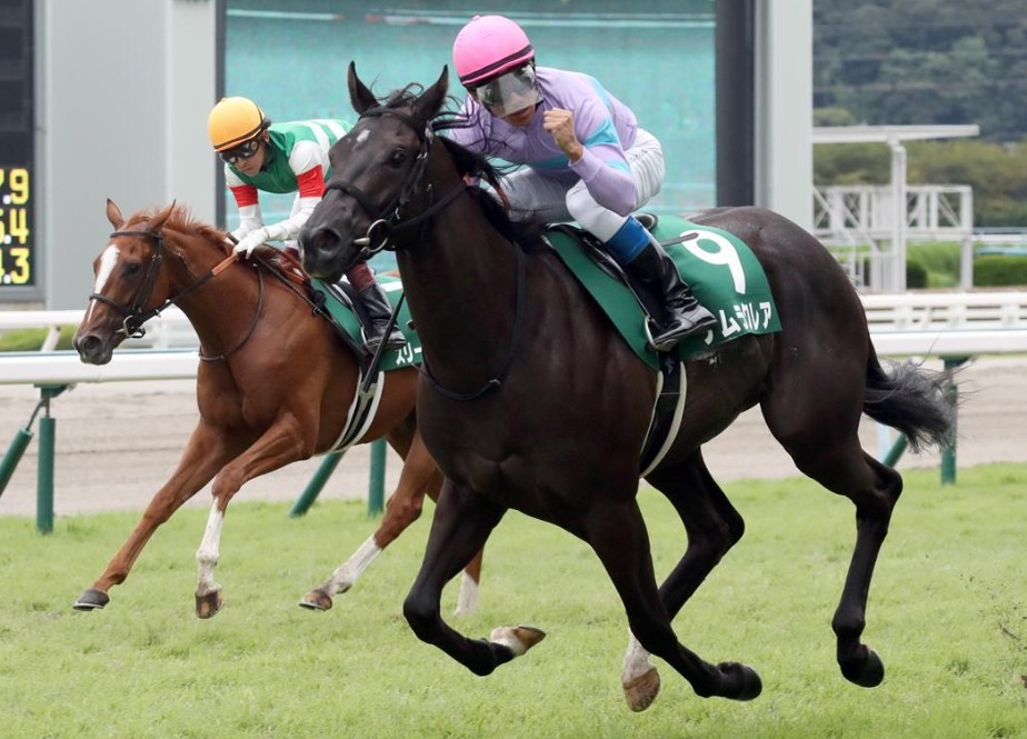 高松宮記念2026予想！大穴狙いで逝くぜぇ！