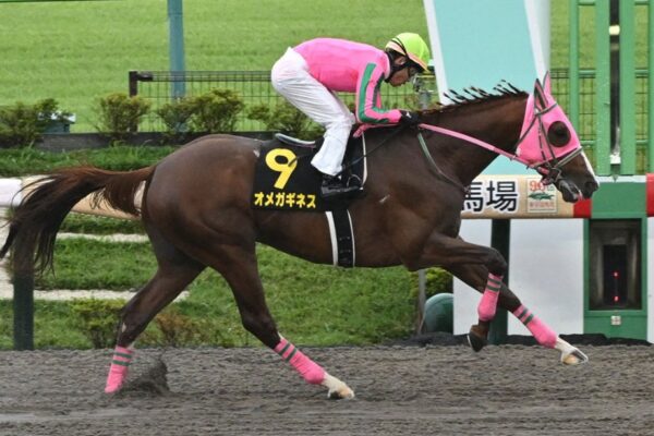 マーチS2026データ分析！大穴はこの馬じゃー！