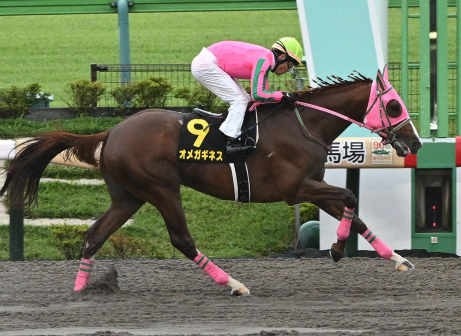 マーチS2026データ分析！大穴はこの馬じゃー！