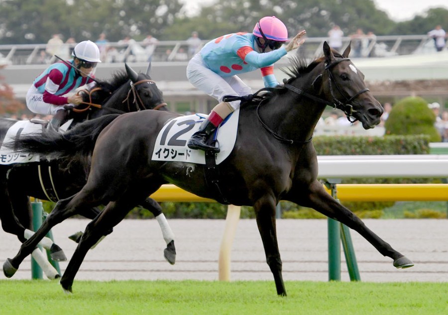 フラワーカップ2026データ分析！大穴はこの馬じゃー！