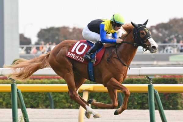 ファルコンS2026データ分析！大穴はこの馬じゃー！