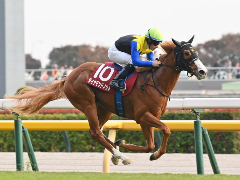 ファルコンS2026データ分析！大穴はこの馬じゃー！