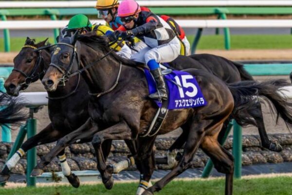 スプリングＳ2026予想！大穴狙いで逝くぜぇ！