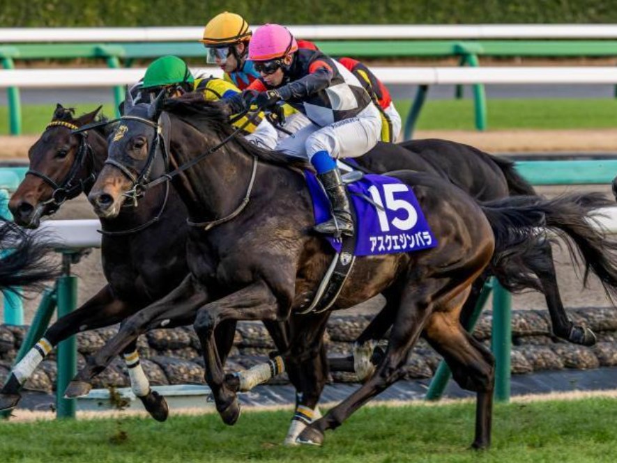 スプリングＳ2026予想！大穴狙いで逝くぜぇ！