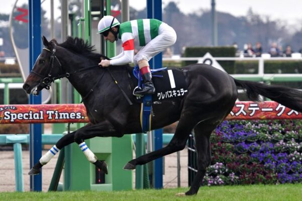 スプリングS2026データ分析！大穴はこの馬じゃー！