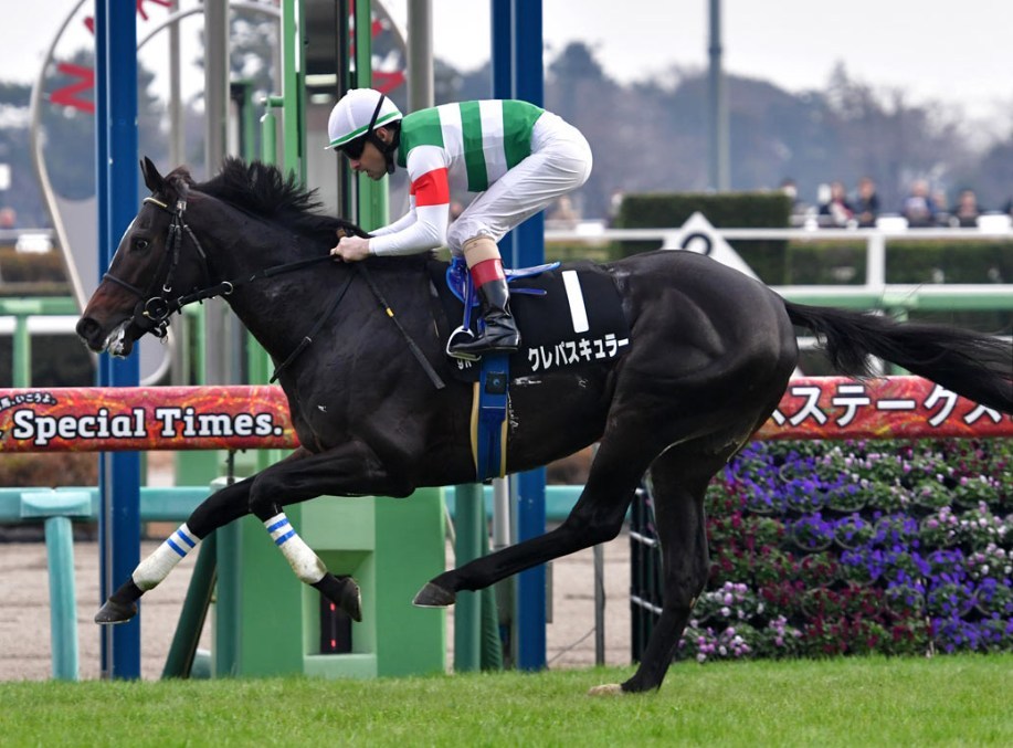 スプリングS2026データ分析！大穴はこの馬じゃー！