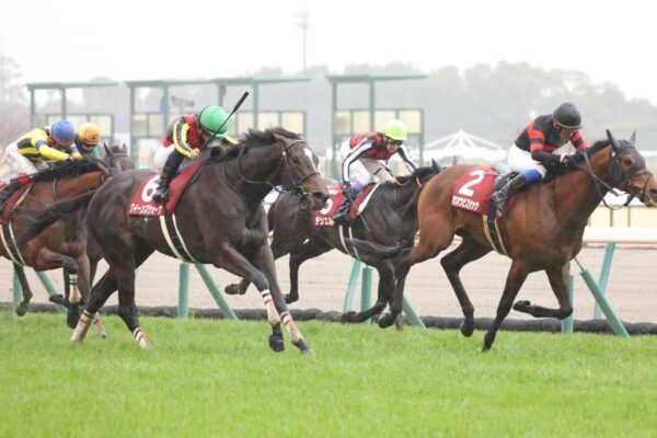 金鯱賞2026データ分析！大穴はこの馬じゃー！