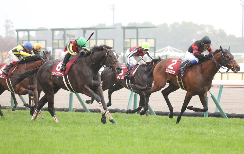 金鯱賞2026データ分析！大穴はこの馬じゃー！