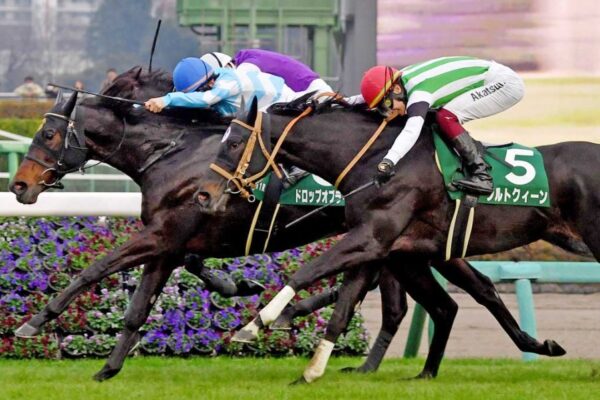 愛知杯2026予想！大穴狙いで逝くぜぇ！