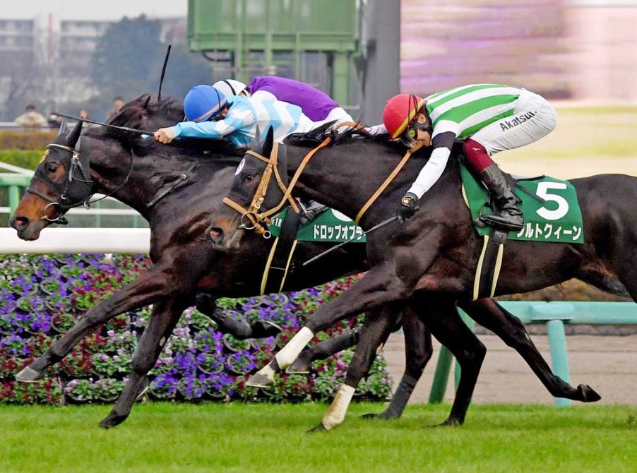 愛知杯2026予想！大穴狙いで逝くぜぇ！