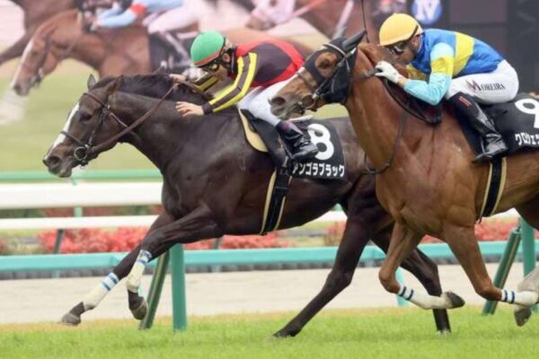 中山牝馬S2026データ分析！大穴狙いで逝くぜぇ！