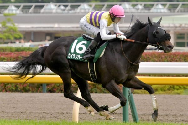 中山記念2026予想！大穴狙いで逝くぜぇ！