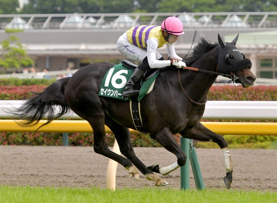 中山記念2026予想！大穴狙いで逝くぜぇ！