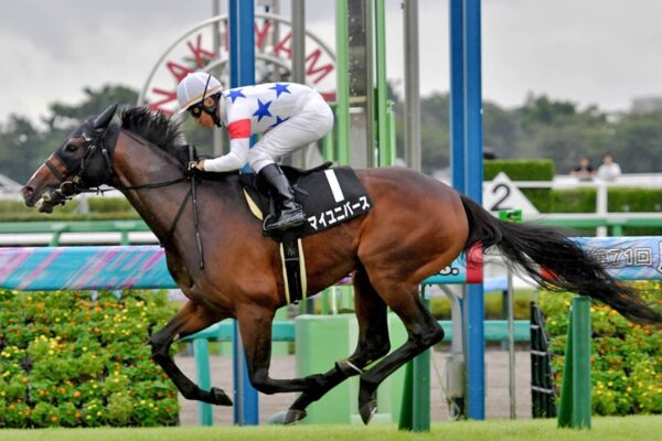 日経賞2026データ分析！大穴はこの馬じゃー！