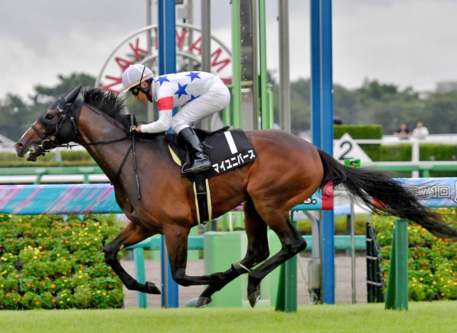 日経賞2026データ分析！大穴はこの馬じゃー！