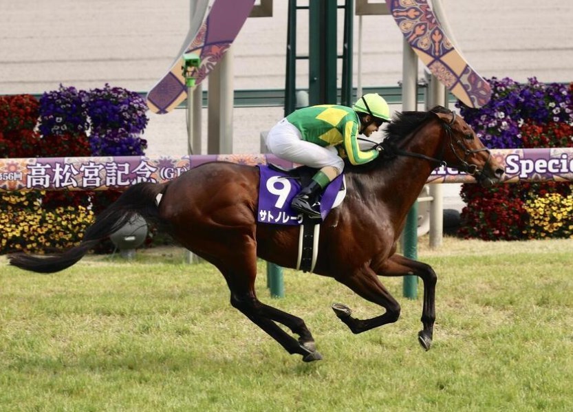デュランダル 第34回 高松宮記念 高松宮記念まとめ｜競馬ニュース