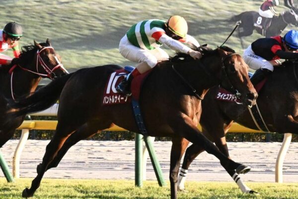 弥生賞2026データ分析！大穴狙いは・・・難しい？