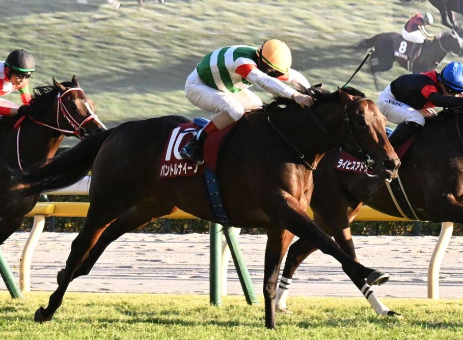 弥生賞2026データ分析！大穴狙いは・・・難しい？