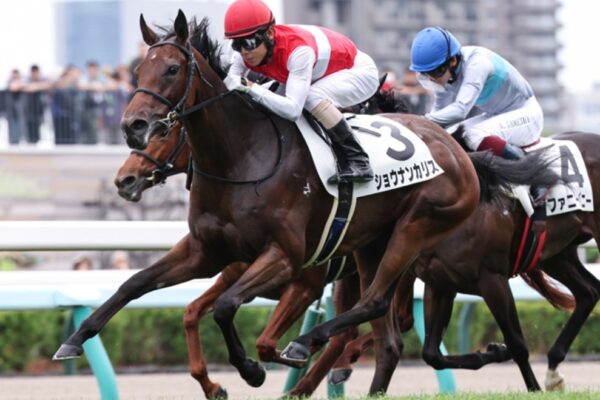 フィリーズレビュー2026予想！大穴狙いで逝くぜぇ！