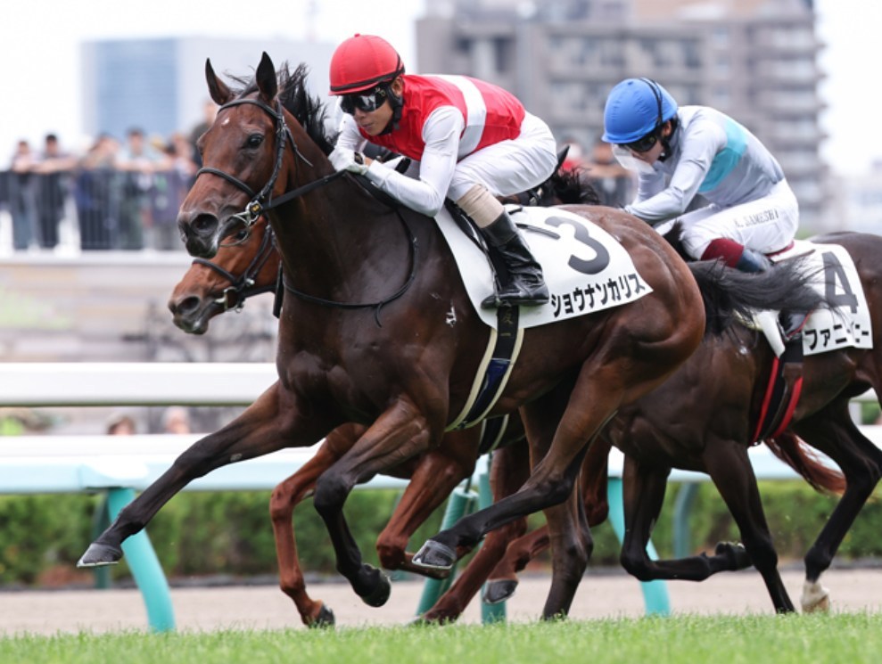 フィリーズレビュー2026予想！大穴狙いで逝くぜぇ！