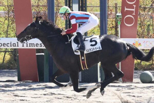 ユニコーンＳ2026データ分析！大穴はこの馬じゃー！