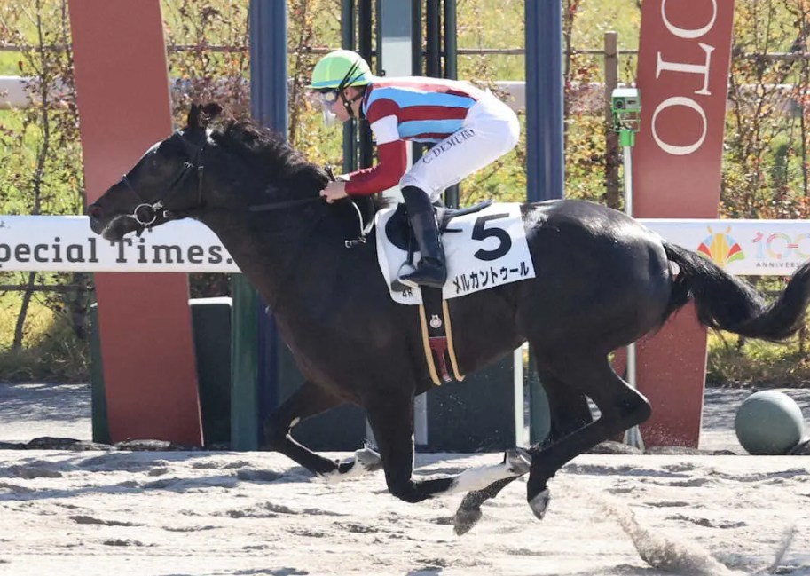 ユニコーンＳ2026データ分析！大穴はこの馬じゃー！