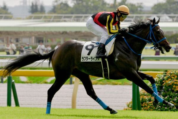 フローラS2026データ分析！大穴はこの馬じゃー！