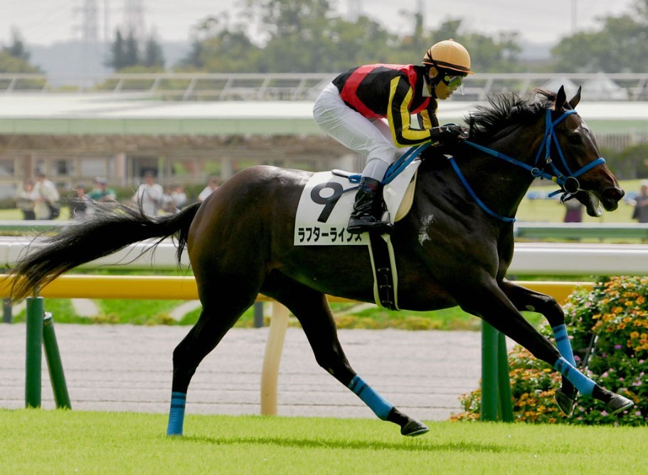 フローラS2026データ分析！大穴はこの馬じゃー！