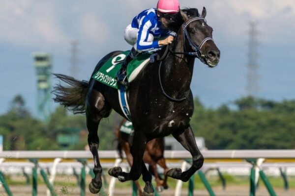 皐月賞2026予想！大穴狙いで逝くぜぇ！