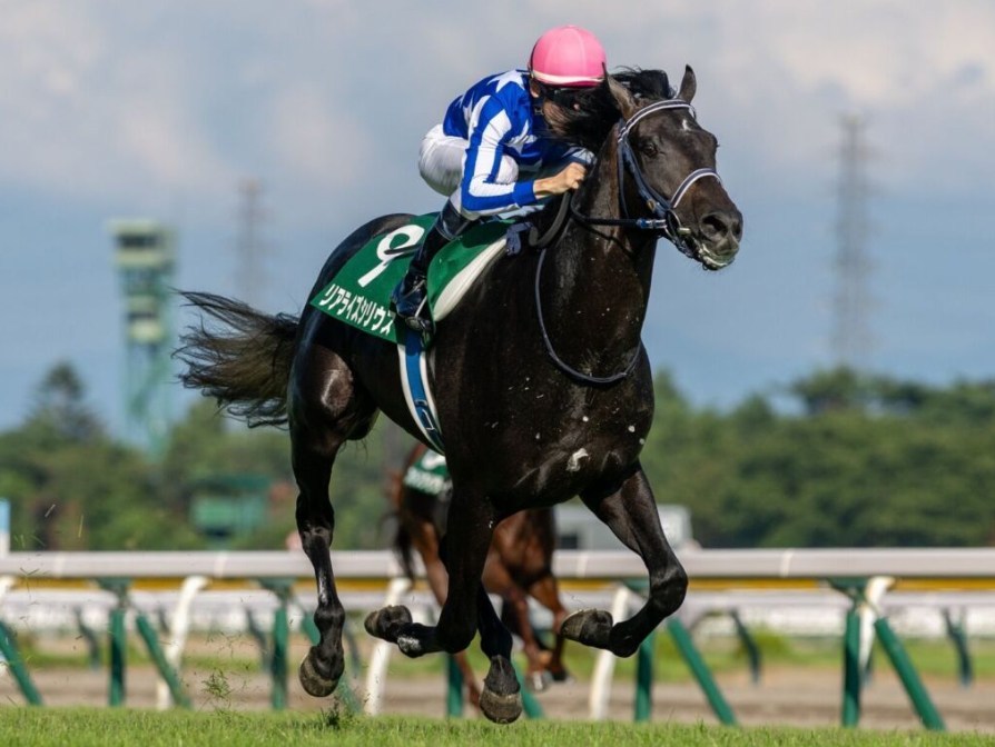 皐月賞2026予想！大穴狙いで逝くぜぇ！