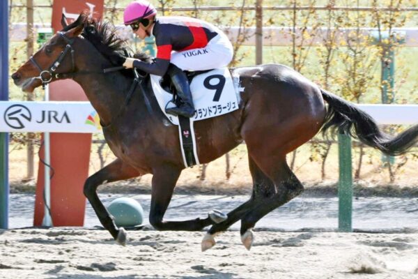 アンタレスS2026データ分析！大穴はこの馬じゃー！