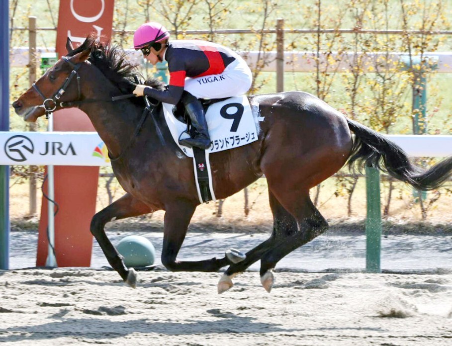 アンタレスS2026データ分析！大穴はこの馬じゃー！