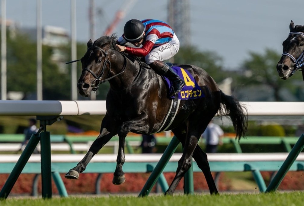 皐月賞2026レース回顧！ロブチェン完勝でまず一冠！ | 浅次郎の