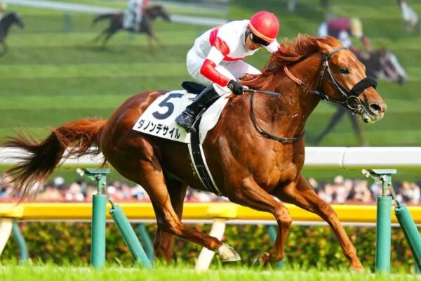 大阪杯2026予想！大穴狙いで逝くぜぇ！