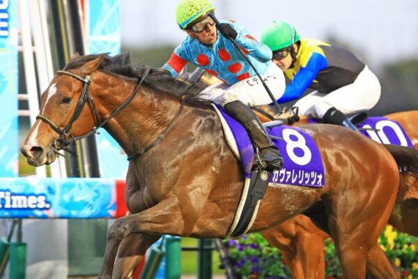 皐月賞2026データ分析！大穴はこの馬じゃー！