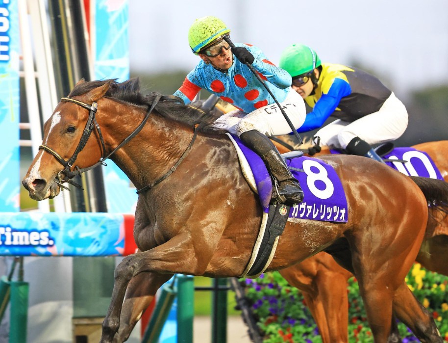 皐月賞2026データ分析！大穴はこの馬じゃー！