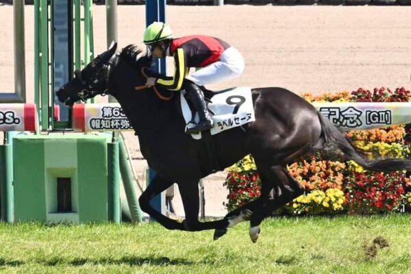 フローラS2026予想！大穴狙いで逝くぜぇ！