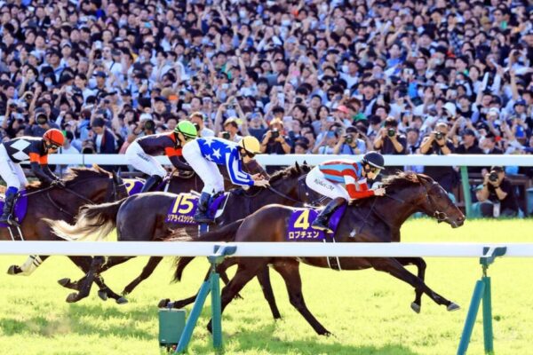 神戸新聞杯2026予想！大穴狙いで逝くぜぇ！
