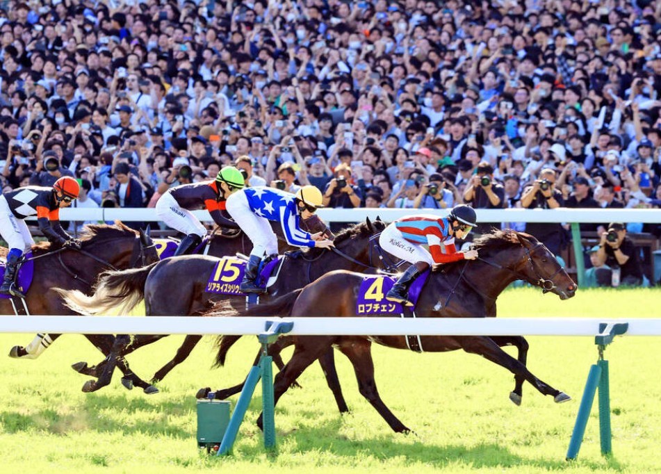 神戸新聞杯2026予想！大穴狙いで逝くぜぇ！