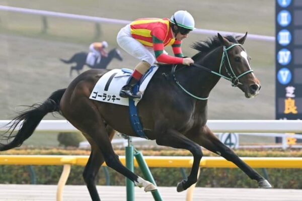 ニュージーランドT2026予想！大穴狙いで逝くぜぇ！