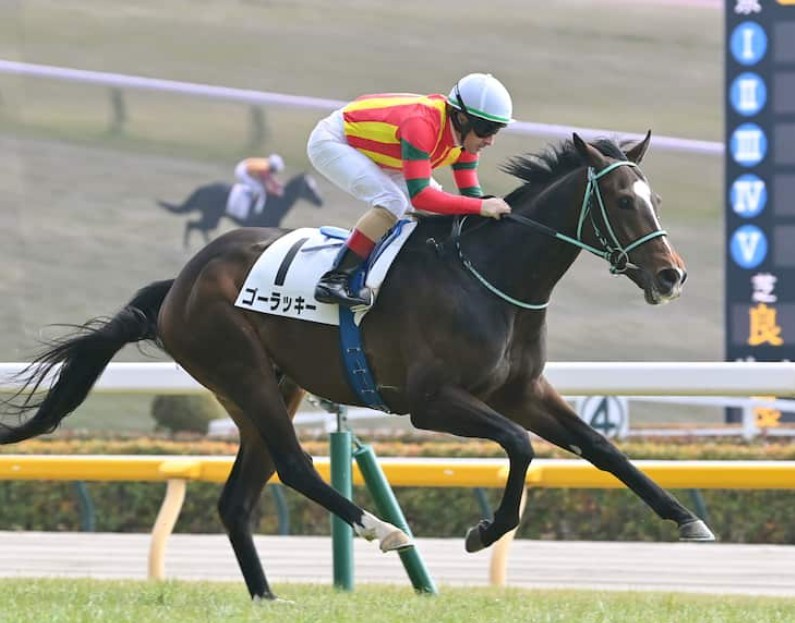 ニュージーランドT2026予想！大穴狙いで逝くぜぇ！