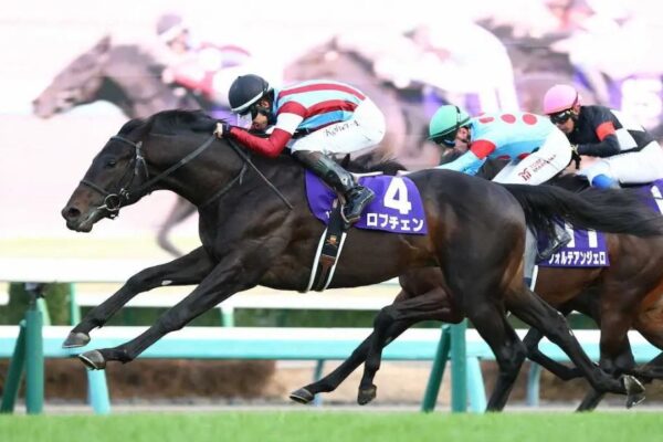 皐月賞2026調教チェック！特A評価・調教爆穴はこの馬だ！