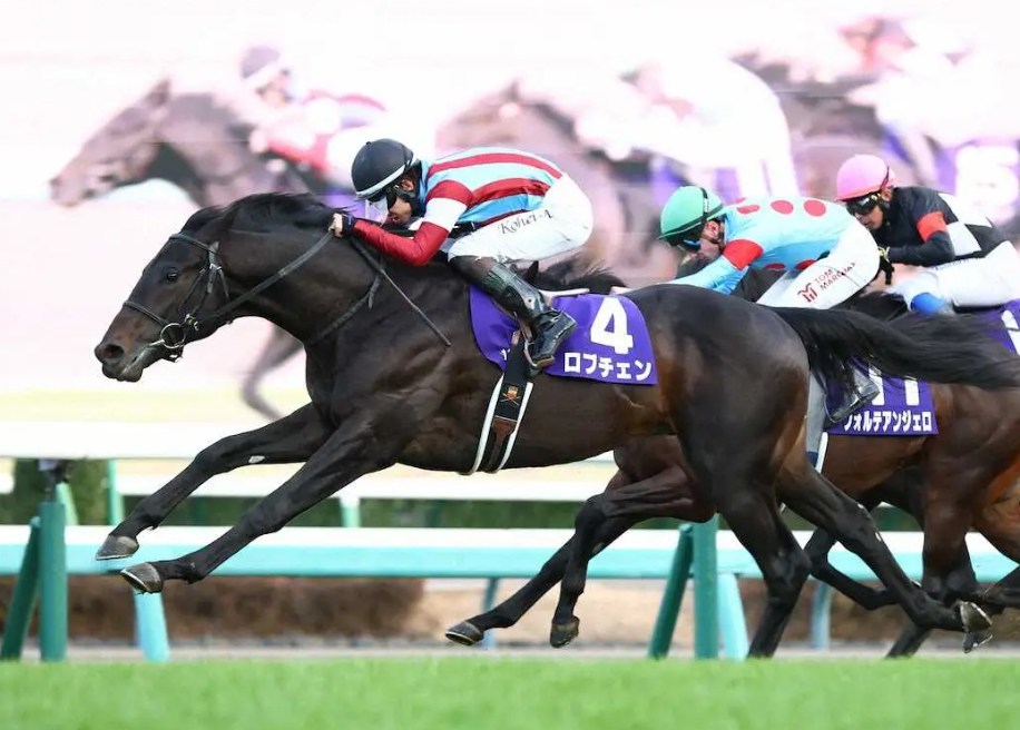 皐月賞2026調教チェック！特A評価・調教爆穴はこの馬だ！